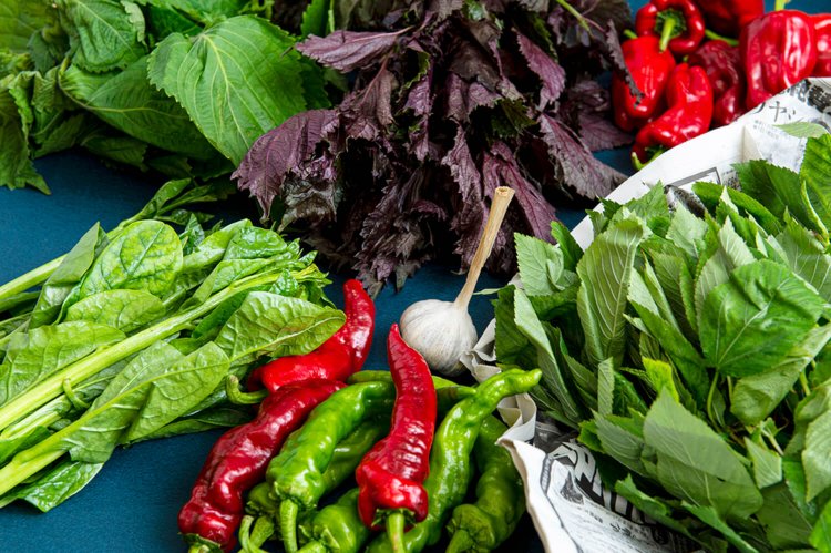 右上より時計回りにピーマン、モロヘイヤ、甘長トウガラシ、ツルムラサキ、エゴマ、赤シソ、おまけにニンニク1つ。