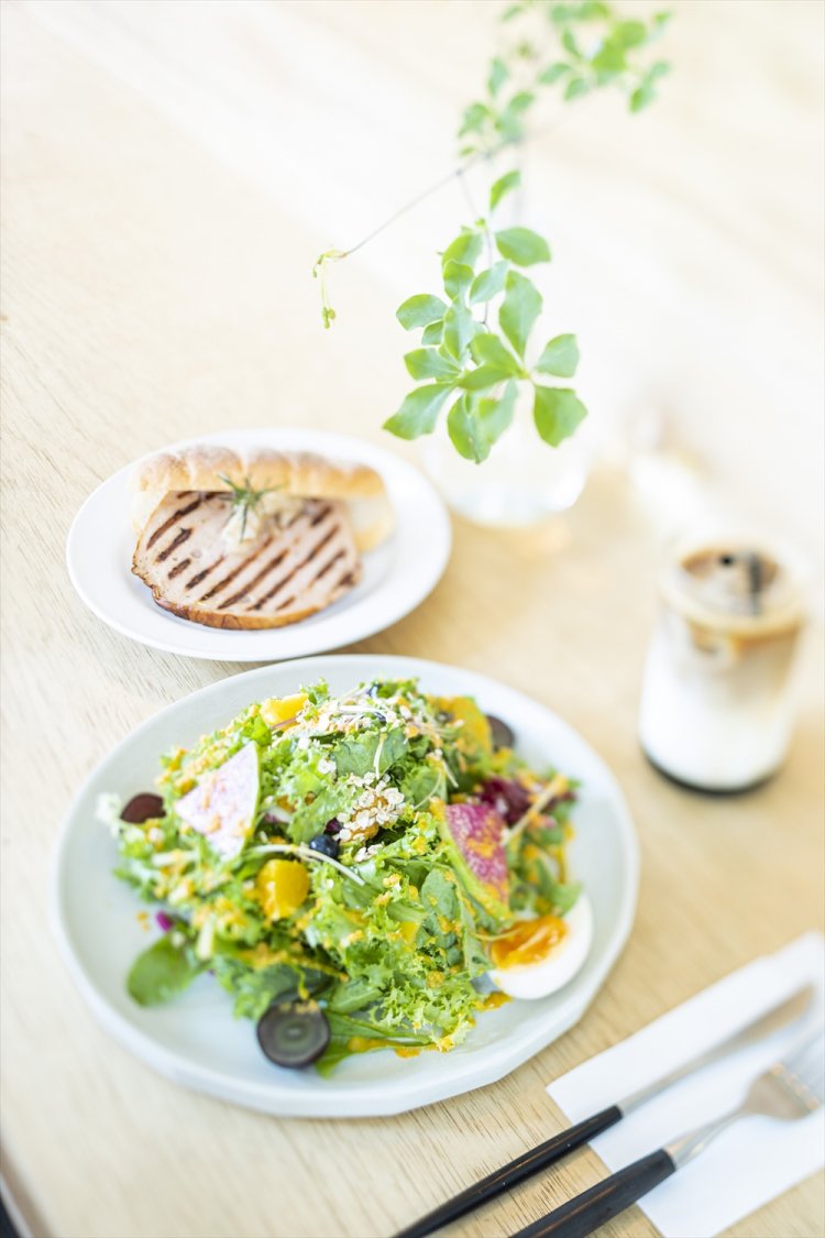 フレッシュサラダとバイエルンケージサンドセットはドリンク付きで1300円。