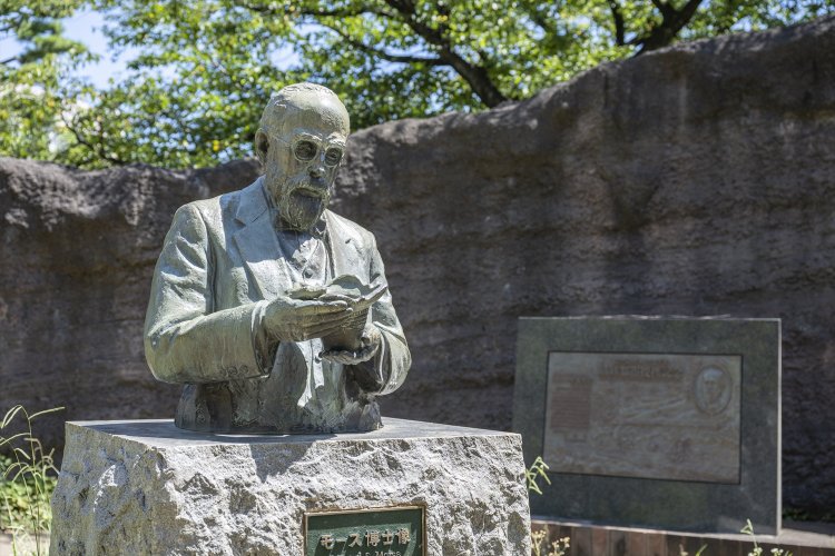 「汽車で新橋へ向かう途中、車窓から貝塚発見！」