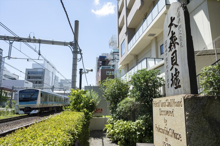 縄文海岸つたい歩き～貝塚と＂縄文神社＂をめぐる～