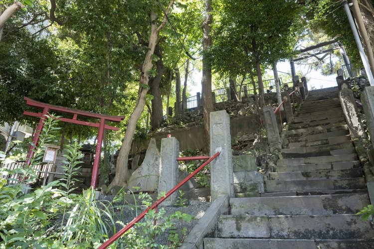 縄文海岸つたい歩き～貝塚と＂縄文神社＂をめぐる～