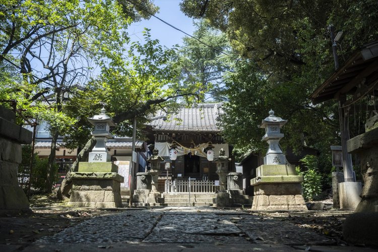 縄文海岸つたい歩き～貝塚と＂縄文神社＂をめぐる～