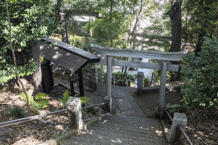 縄文海岸つたい歩き～貝塚と＂縄文神社＂をめぐる～