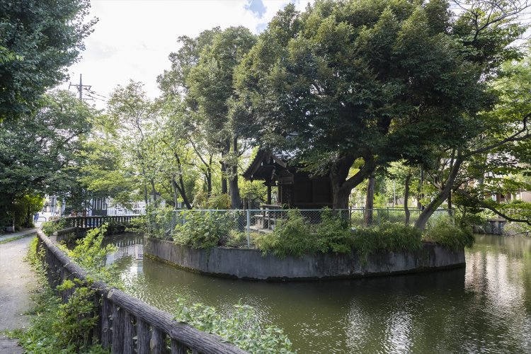 縄文海岸つたい歩き～貝塚と＂縄文神社＂をめぐる～