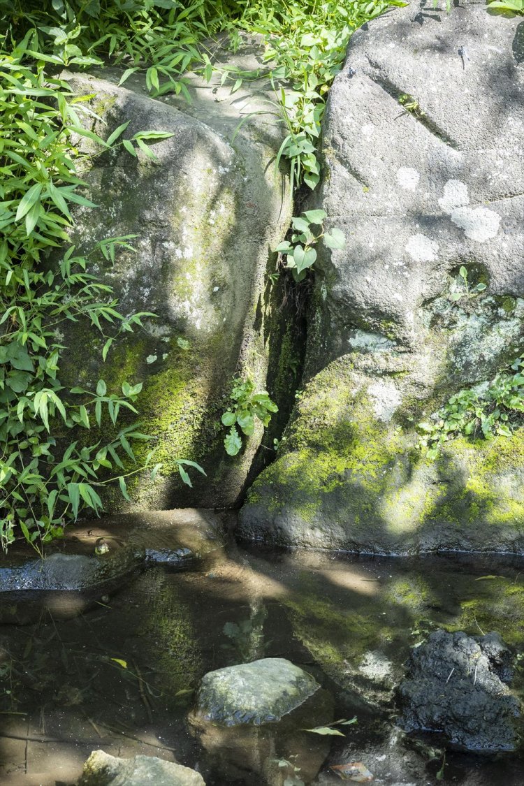 縄文海岸つたい歩き～貝塚と＂縄文神社＂をめぐる～