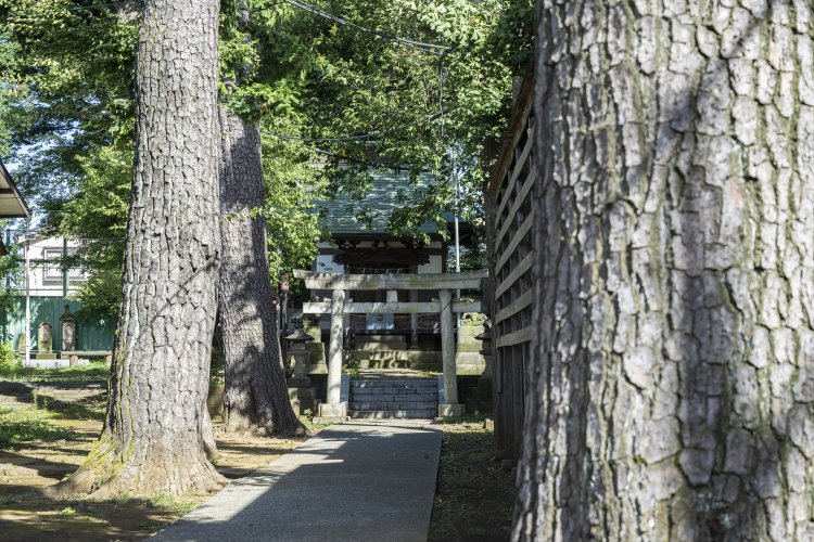 縄文海岸つたい歩き～貝塚と＂縄文神社＂をめぐる～