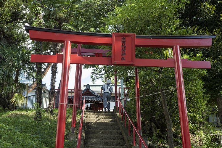 出世稲荷神社。小さな社殿の脇に大きなクロマツが。まるで守護しているよう。