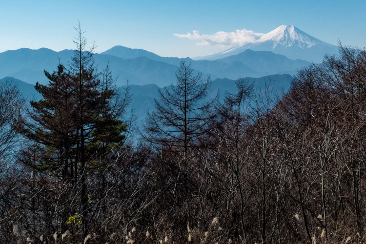 百蔵山との縦走登山も楽しめる扇山からの眺望。