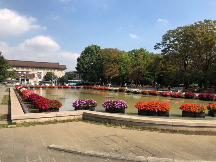 上野・アメ横_12