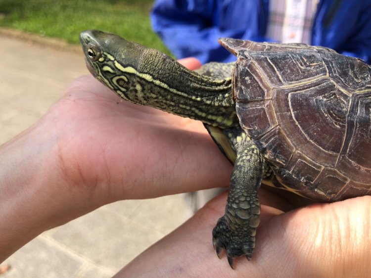 上野・アメ横_13