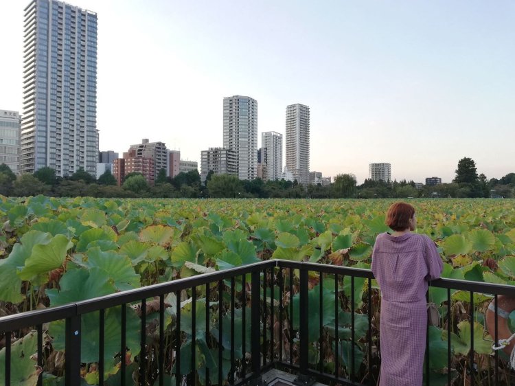 上野・アメ横_25