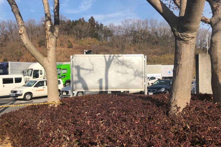 Shadow painting《影の絵画》