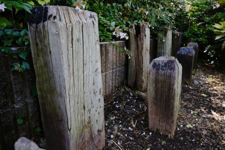 南町4丁目の緑道にはよく見ると道の端に枕木群が！　かなりの数があるので、もしや下河原線の忘れ物⁉