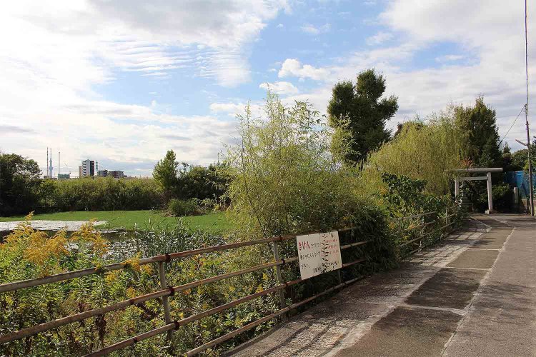 青龍神社と怪無池。人気のない時間帯の参拝は避けよう。