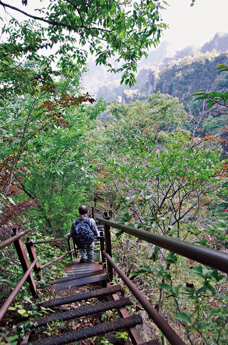 鉄階段というよりも鉄梯子といったほうがいい細い段に足をかけて下るちょっぴり怖い階段。