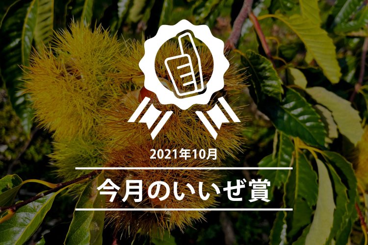 今月のいいぜ賞202110