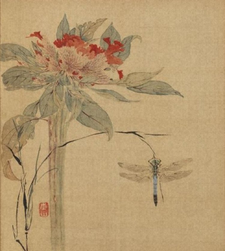 渡辺崋山「虫魚帖」のうち（鶏頭にとんぼ・部分）天保12年（1841）　重要文化財　岡田美術館蔵。※会期中ページ替あり。