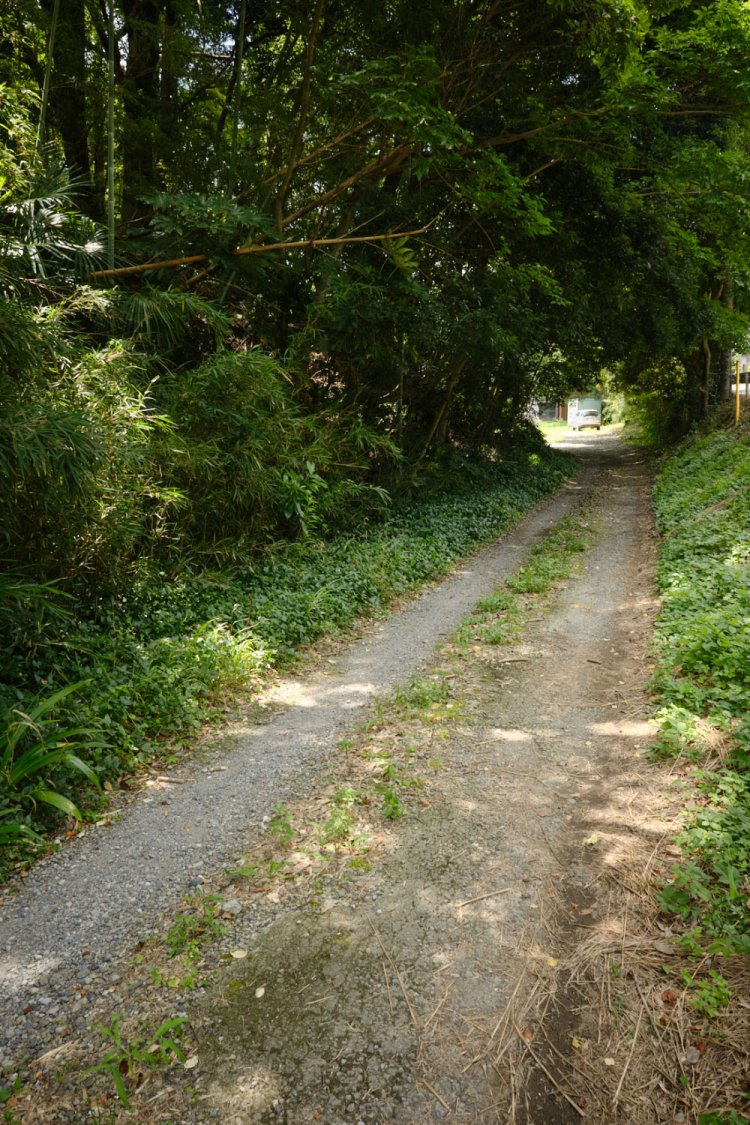 名所を結んだ県内初“電車”、成宗電気軌道の廃線跡を歩く【身近な廃線跡さんぽ】