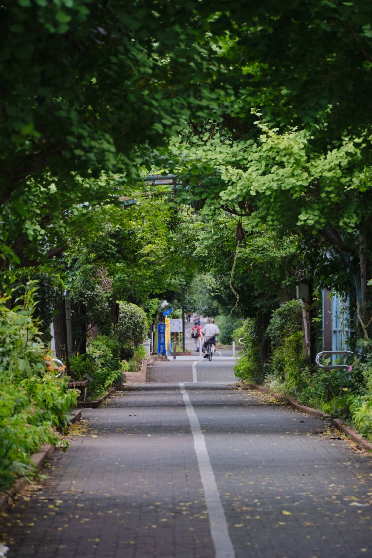 亀戸から下町エリアを縦断！ 城東電気軌道砂町線の廃線跡を歩く【身近な廃線跡さんぽ】