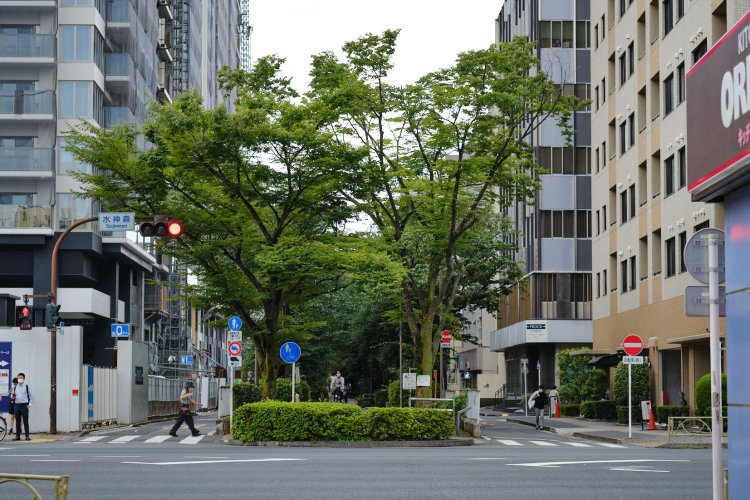 亀戸から下町エリアを縦断！ 城東電気軌道砂町線の廃線跡を歩く【身近な廃線跡さんぽ】