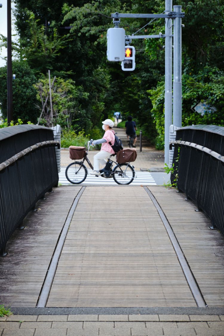 １シーズンだけの幻電車！？ 武蔵野競技場線の廃線跡を歩く【身近な廃線跡さんぽ】