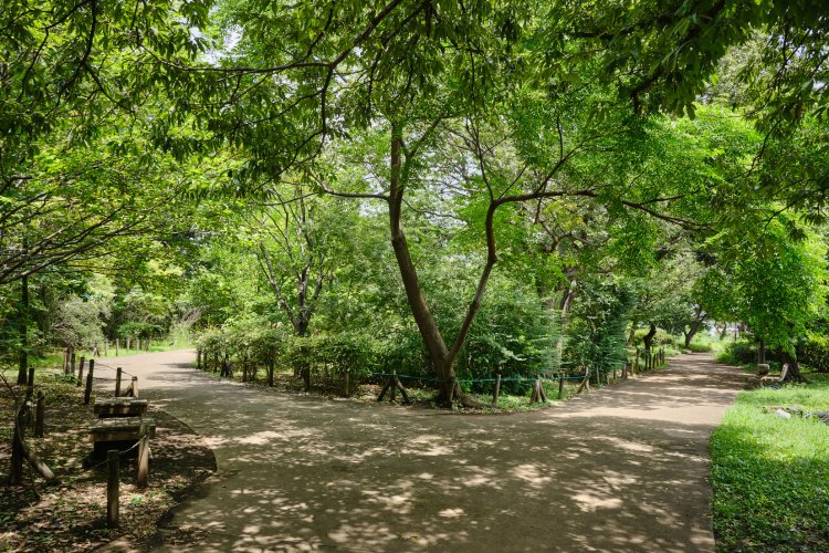１シーズンだけの幻電車！？ 武蔵野競技場線の廃線跡を歩く【身近な廃線跡さんぽ】