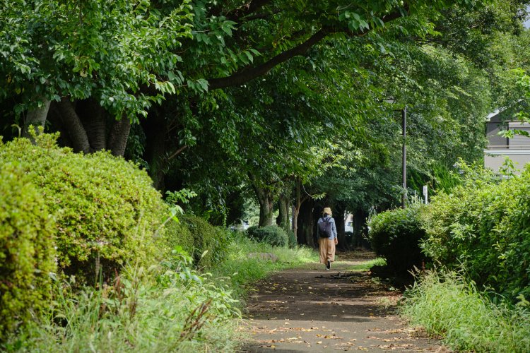 １シーズンだけの幻電車！？ 武蔵野競技場線の廃線跡を歩く【身近な廃線跡さんぽ】