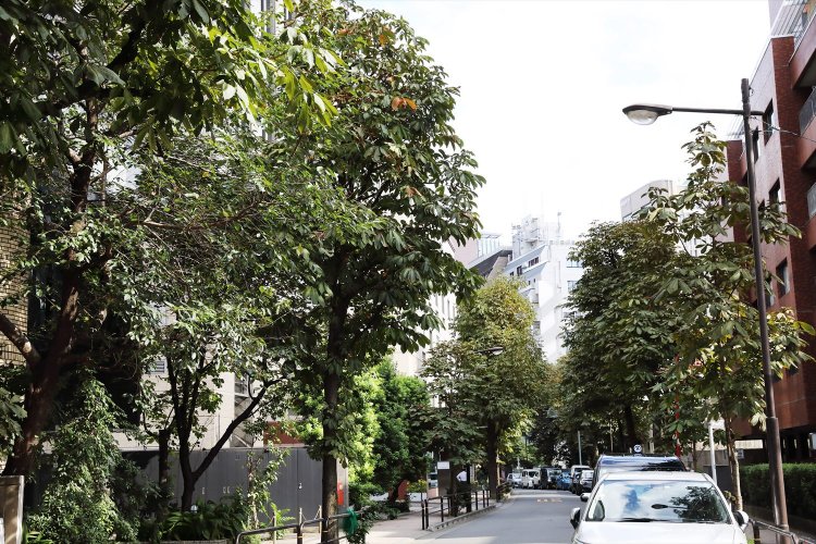 ワテラス（神田淡路町）西側の、植え升がのびやかに連なる坂道。