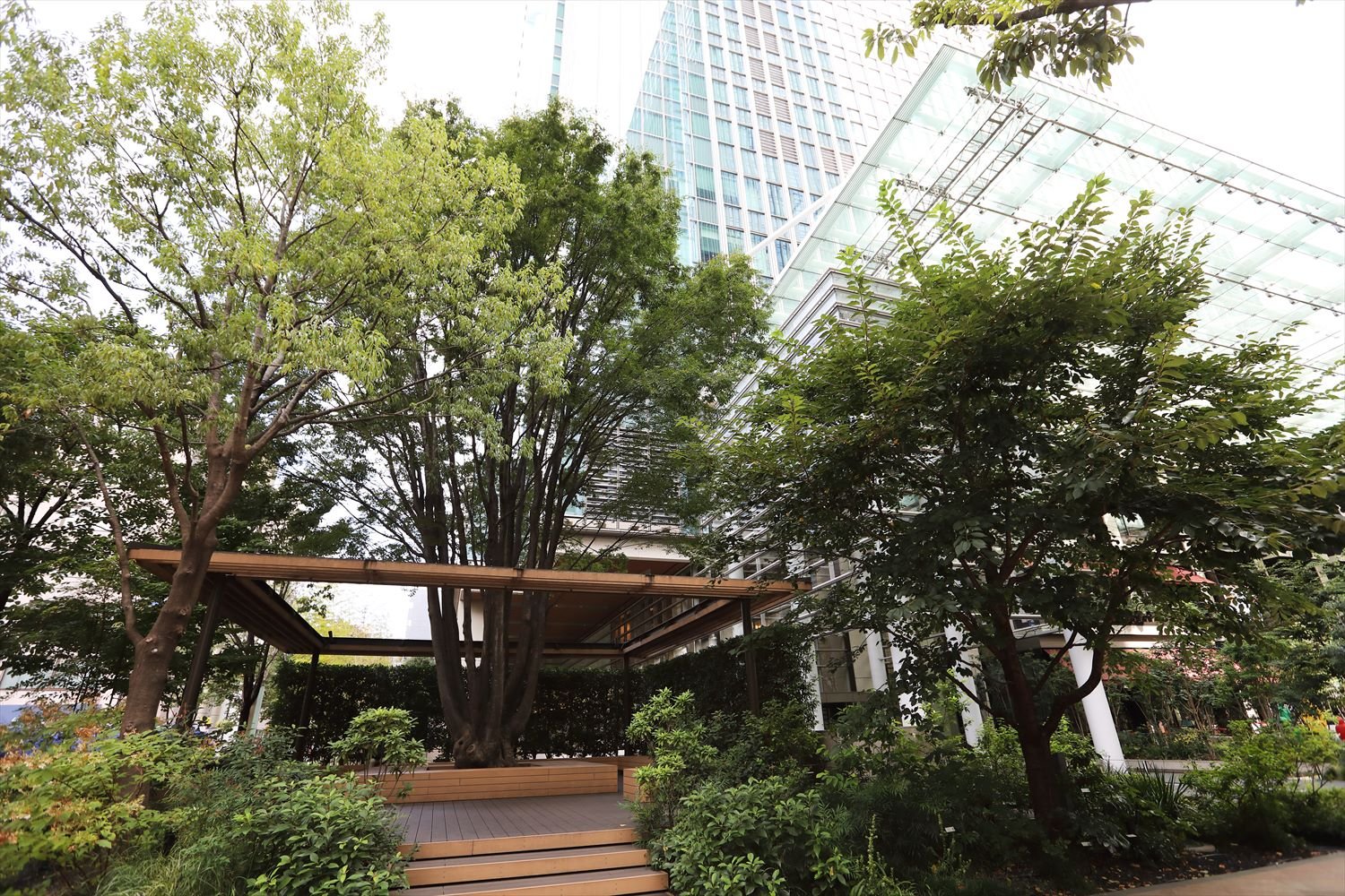 日本橋室町三井タワーの大ケヤキは、植え升を木のベンチが囲み、音楽も流れる。