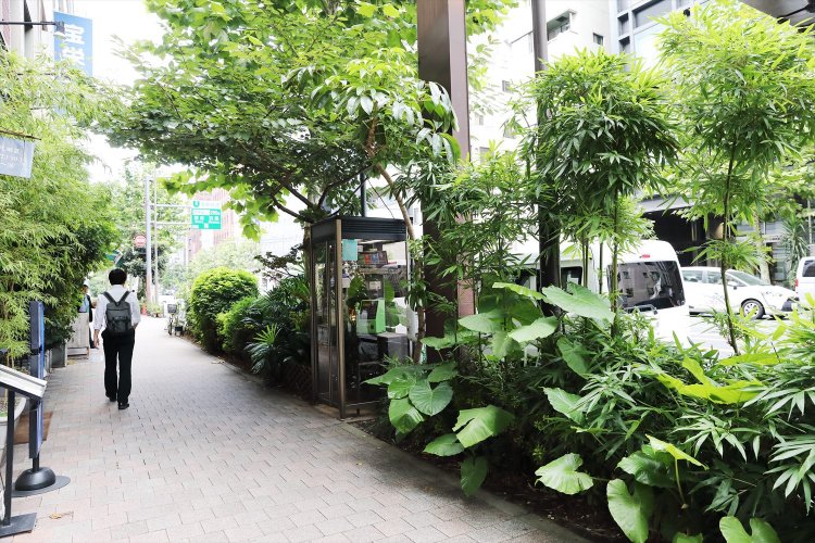 某中華料理店前。店主が植物好きで、シンボルツリーはサクラだ。