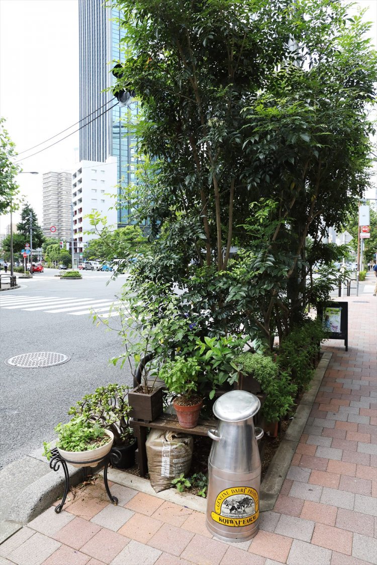 ナチュラルな雰囲気に見ほれてしまう。