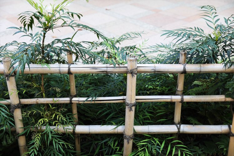 竹垣の中でもこれは「四つ目垣」で、茶庭を彷彿する。