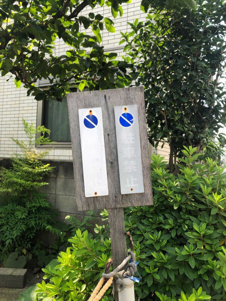 Leashed weeping thing《号泣顔》