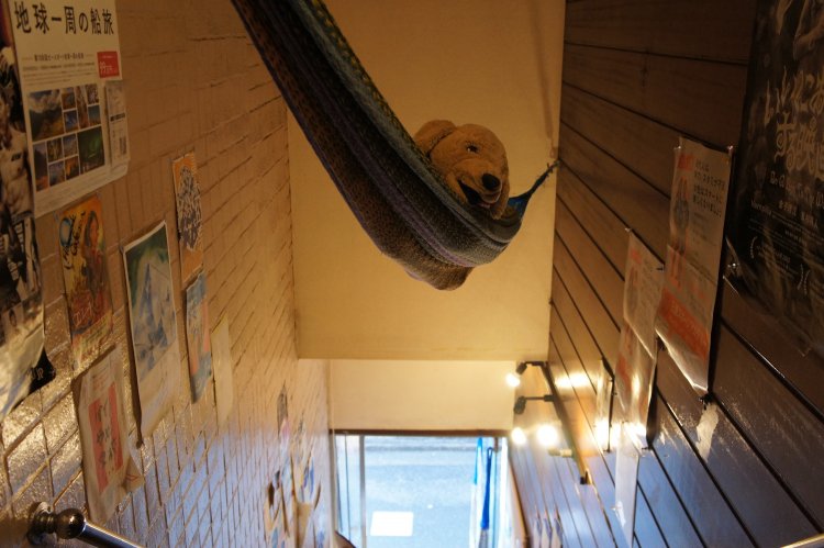 階段ではワンコがお出迎え。アウトドア空間へと誘う。