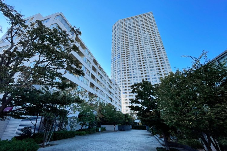 敷地内の庭園は一般にも開放。石川さん曰く「水が流れる癒やしの空間で、四季折々の緑が溢れ日々の散策も楽しめます」。