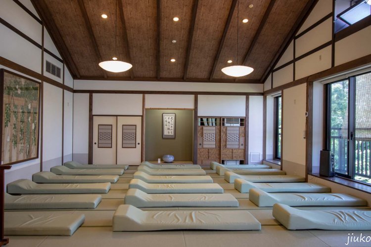 苔庭を眺めながら過ごせる「春」の部屋。低めの温度設定なので、うとうとと寝てしまいそう。