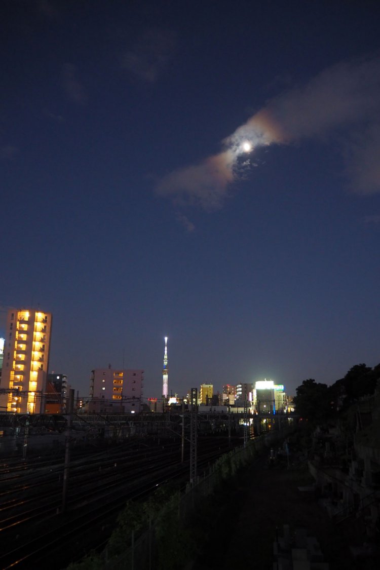 これは別の日に同じ場所から撮った写真だけど……屈辱感、伝わるかしら。