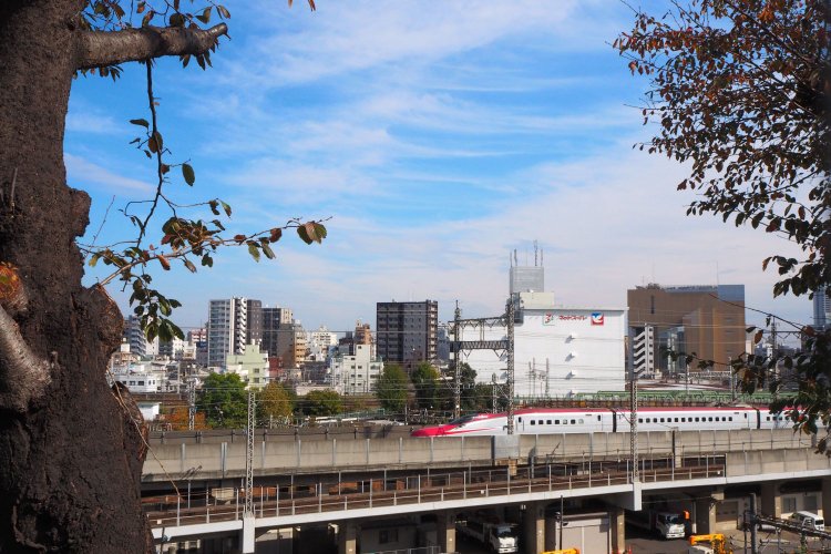 もう少し田端台公園寄りの場所から見えるとこんな感じ。ちょうど秋田新幹線が来た。