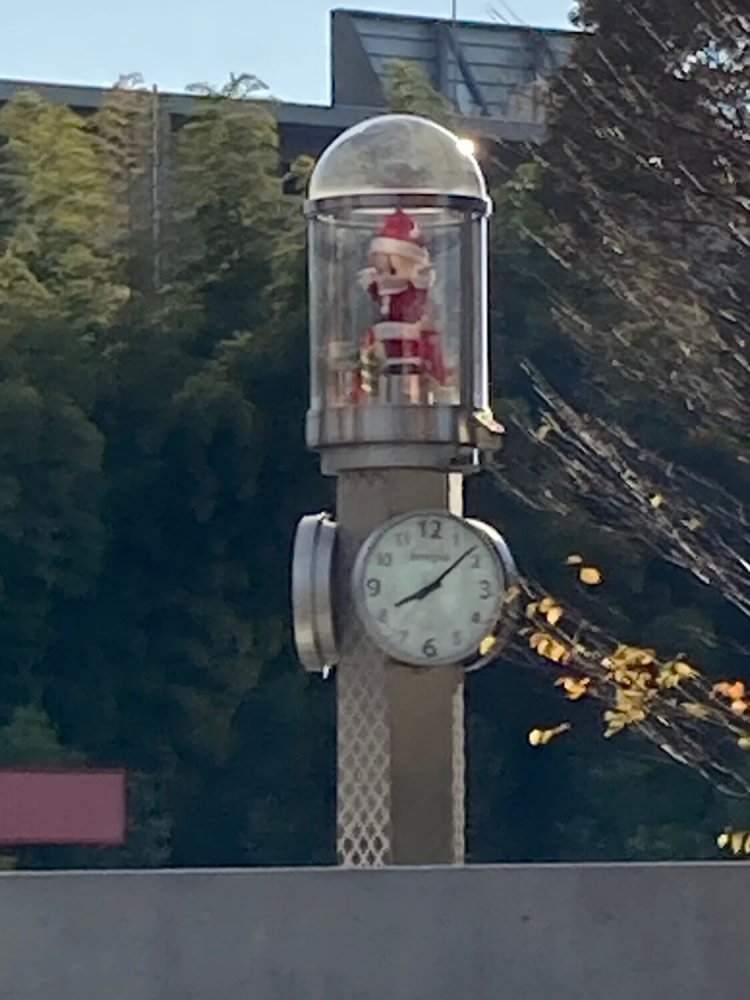 仙川のキユーピーは対向車線側にあるので、あまり凝視はできない。