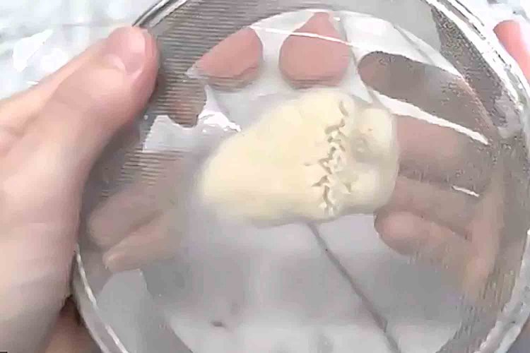 白あんを「茶こし」や「ふるい」でこす。