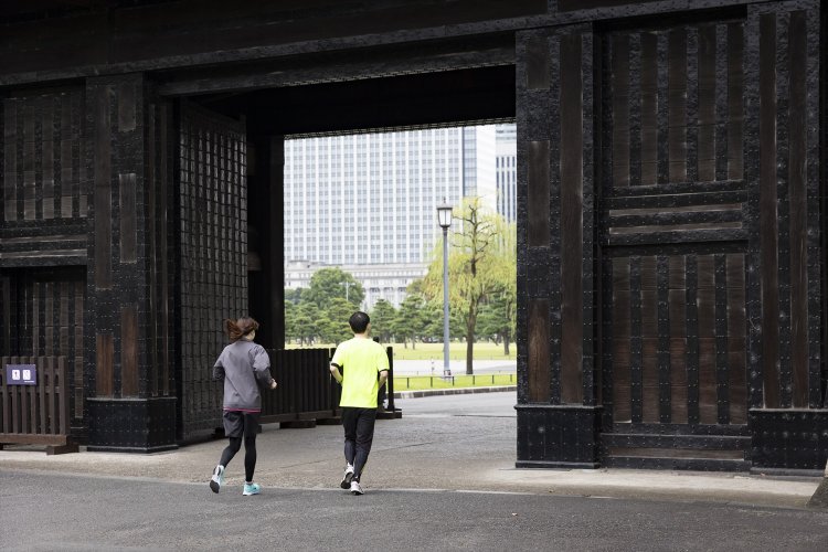 国の重要文化財、桜田門をくぐるのも皇居ランの醍醐味のひとつ。