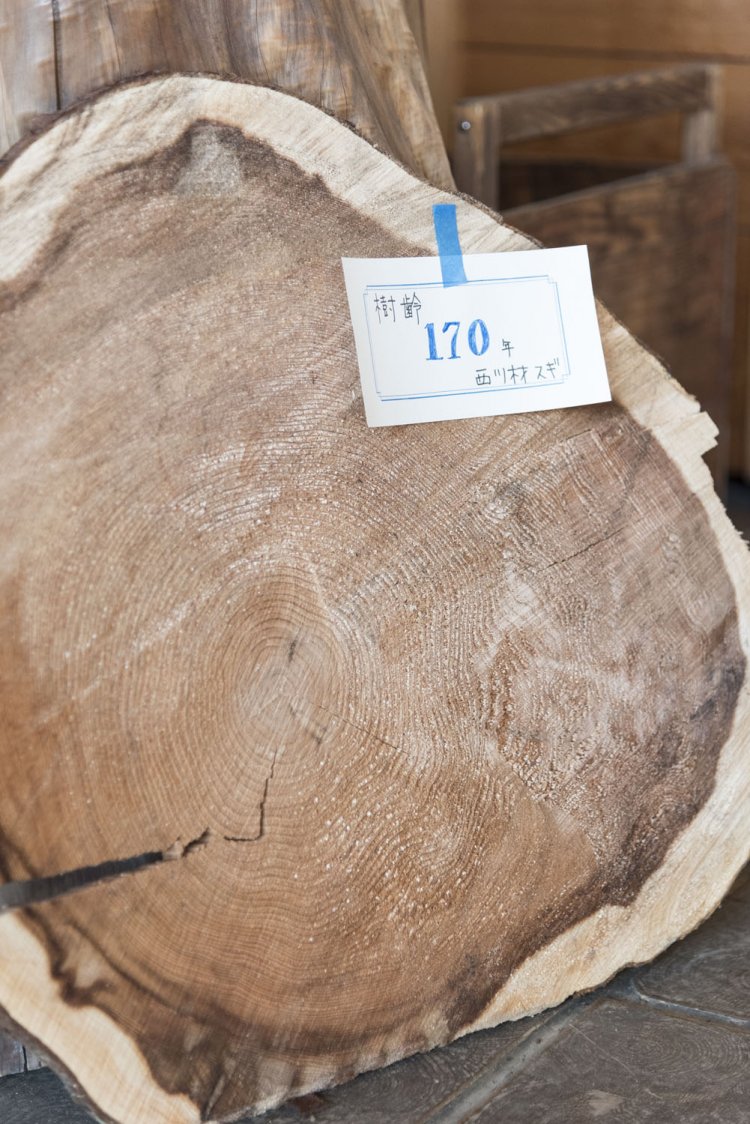 樹齢約170年のスギ。年輪が細かいのが西川材の特徴。