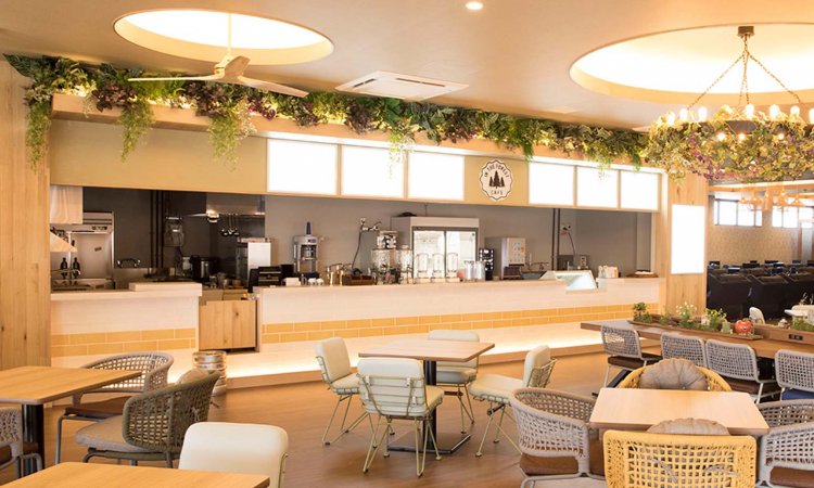 岩盤浴のあとは「IN THE FOREST CAFE」へ。スムージやデトックスウォーター、野菜たっぷりのカフェご飯などを味わえる。