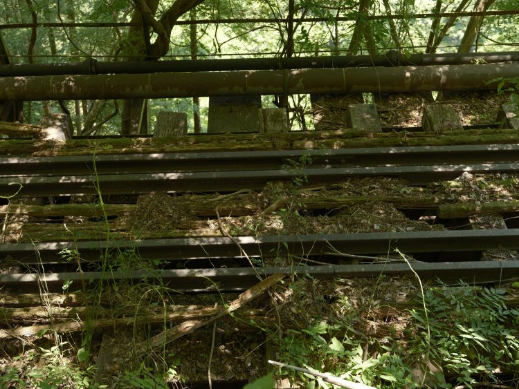 松の葉も堆積している。橋梁は崖にへばりついているようだ。