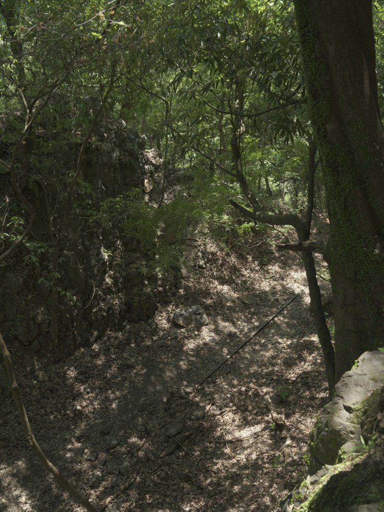 切り通しを上から覗ける。線路も顔を出している。深い森の中にある切り通しって神秘的だ。