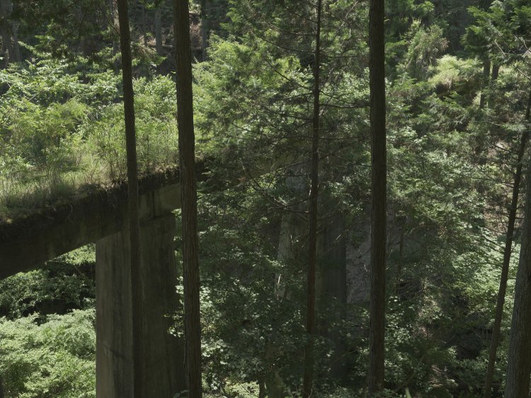 後ほど紹介する「奥多摩むかし道」からの光景。第二弁天橋橋梁。