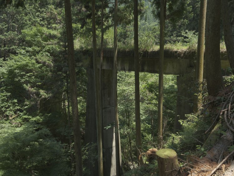 森の一部へと還っていく。自然と一体化する仏を連想させる。不思議と日々の疲れとストレスが解放されていく…….。