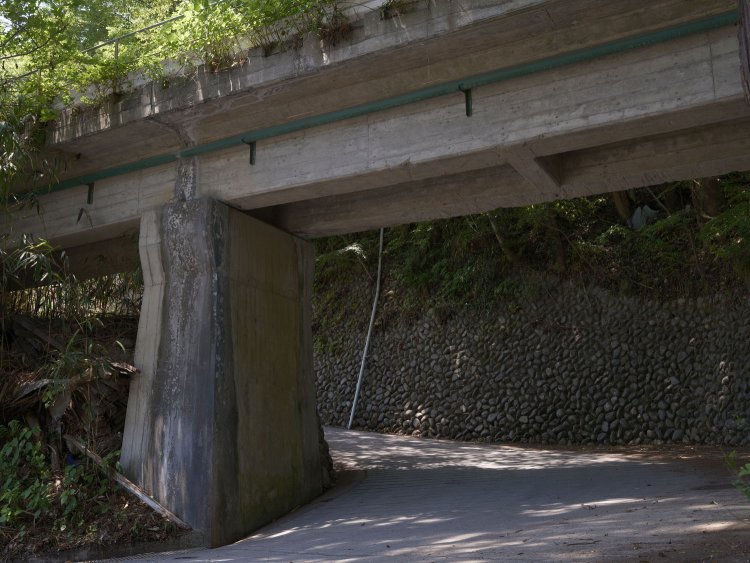 近づいて観察してみる。橋脚部分には雨水の浸食が見受けられるものの全体的には破損箇所が見当たらない。T形桁特有の裏側が大きく窪んだ構造がよくわかる。