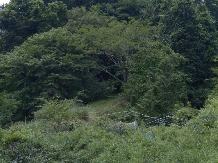 上写真から振り向いた所の路盤。うっすらと平坦な草道が廃線跡である。