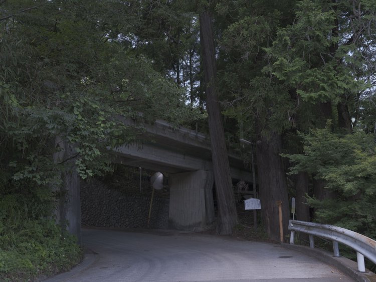 第二氷川橋梁。氷川集落へ向かう生活道の途中で現れる。右手の立札には「元巣の森の杉」と記されていた。